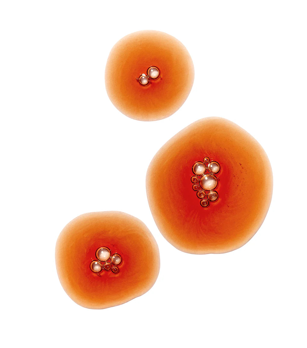 Three orange fruits with embedded seeds on a white background