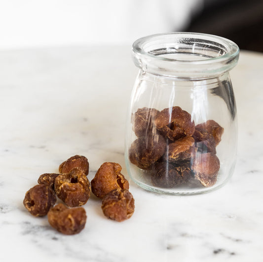 Organic  Long Yan Rou - Long yan fruit 32g