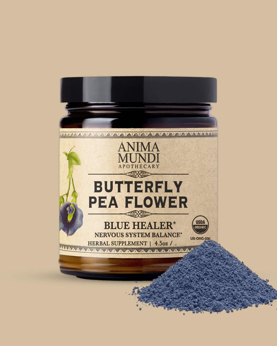 BUTTERFLY PEA FLOWER | Nervous System Balance